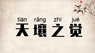 天壤之觉