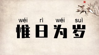 惟日为岁
