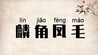 麟角凤毛