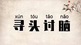 寻头讨脑