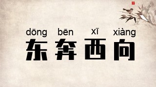 东奔西向