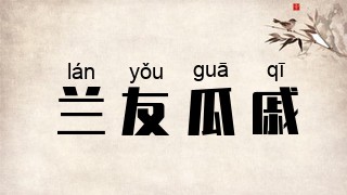 兰友瓜戚