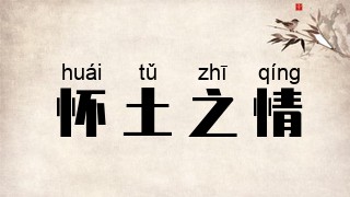 怀土之情