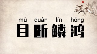 目断鳞鸿