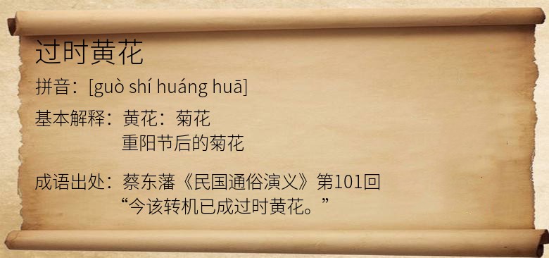 过时黄花