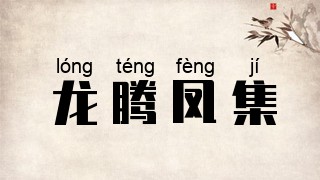 龙腾凤集