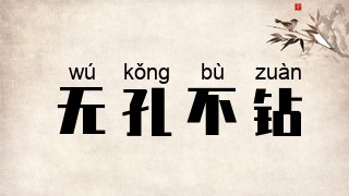 无孔不钻