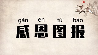 感恩图报