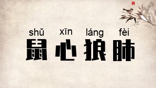 鼠心狼肺