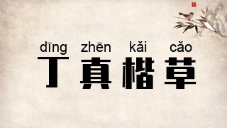 丁真楷草