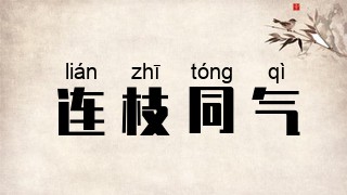 连枝同气