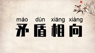 矛盾相向