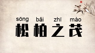 松柏之茂
