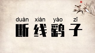 断线鹞子