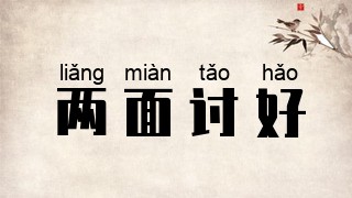 两面讨好
