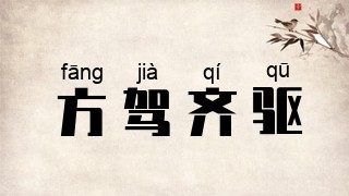 方驾齐驱