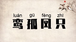 鸾孤凤只