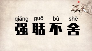 强聒不舍