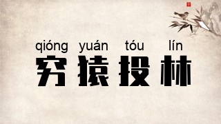 穷猿投林