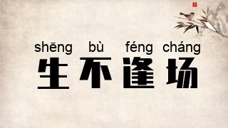 生不逢场