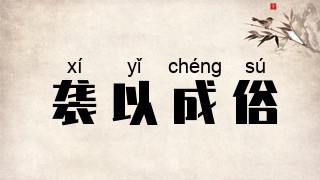袭以成俗