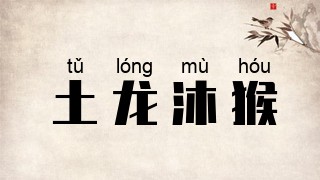 土龙沐猴
