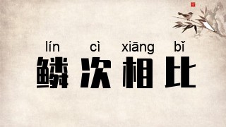鳞次相比