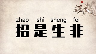 招是生非