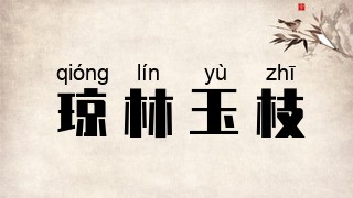 琼林玉枝