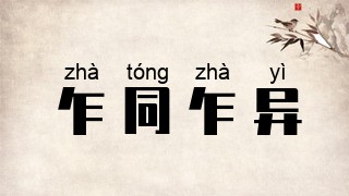 乍同乍异