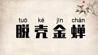 脱壳金蝉