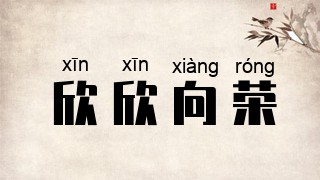 欣欣向荣
