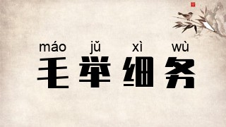 毛举细务