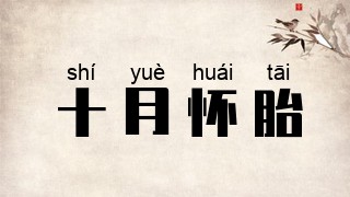 十月怀胎