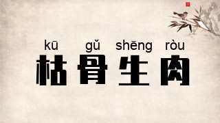 枯骨生肉