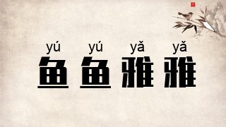 鱼鱼雅雅