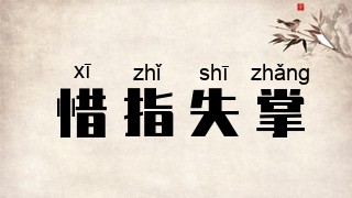 惜指失掌