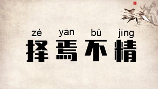 择焉不精