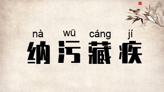 纳污藏疾