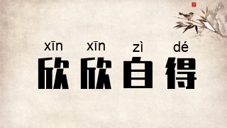 欣欣自得