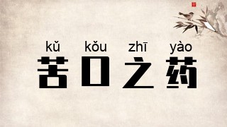 苦口之药