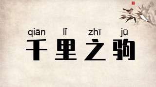 千里之驹