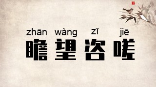 瞻望咨嗟