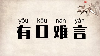 有口难言
