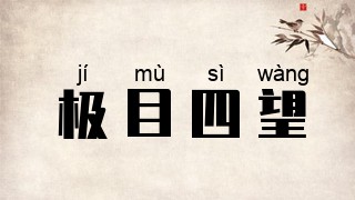 极目四望