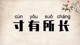 寸有所长