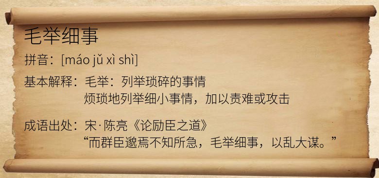 毛举细事