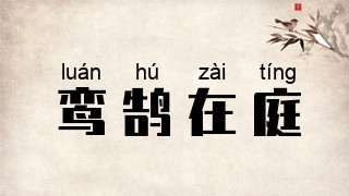 鸾鹄在庭