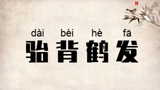 骀背鹤发