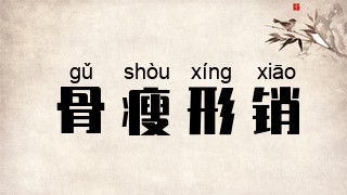 骨瘦形销